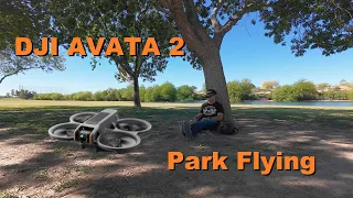 DJI AVATA 2 -  RC Motion 3 - Easy Flight & Acro @ Park