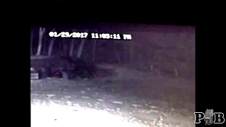 the "Bigfoot Caught On Trail Camera. What Do You Think?" video