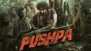 Pushpa movie hindi dubbed #pushpa #pushpamoviehindidubbed #shaikhtoliboys  #faizakram