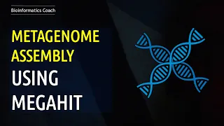 Metagenomics Assembly using Megahit