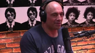 Bas Rutten. Mauro Ranallo and Joe Rogan talk about Cro Cop