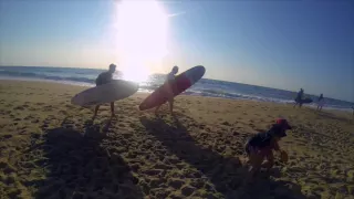 Hossegor Surf Trip 2014