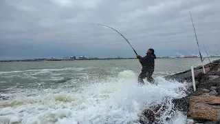 You won't Believe what this fisherman did at the Jetty!