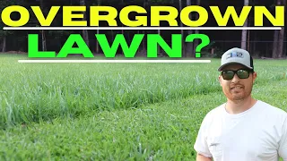 How to Mow an Overgrown Lawn. No Mess!