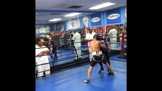 Gervonta Davis and Teofimo Lopez sparring