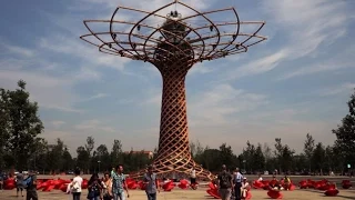 Discovering the Milan Expo 2015