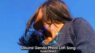 SASURAL GENDA PHOOL__NEW LOFI&REVERD ||| slowed SONGS