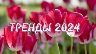 🌷Танцуй если знаешь этот тренд 2024 года🌷