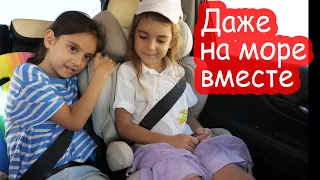 VLOG Весь день с Дашей