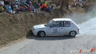 29ème Rallye de Haute Provence 2017 - On Board Sebastien Loeb ( Peugeot 306 Maxi )