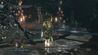 Skeleton Lords - SL1 NG+7 CoC No Roll/Block/Parry