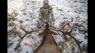 Montana Public Land Elk Hunt - Part 2