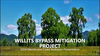 Willits Bypass Mitigation Monitoring and Bird Diversity