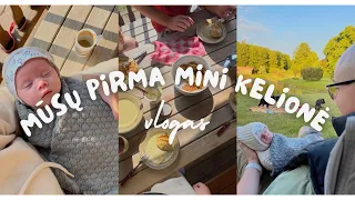 Vlogas #1 | Pirmą kartą keliaujam į sodybą su mažyliu, blynų receptas, patarimai