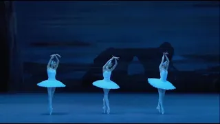 SWAN LAKE - Dance of Big Swans (Bolshoi Ballet)