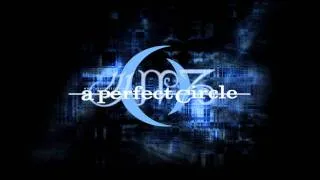 A Perfect Circle - The Hollow (acoustic)