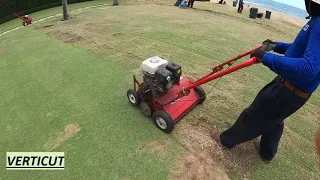 FINAL Aeration and Verticut of the season- HUGE ZOYSIA LAWN-