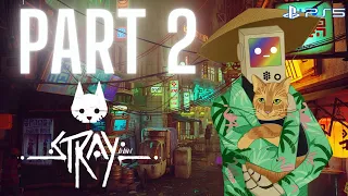 Stray Gameplay Walkthrough - Part 2 - Momo (PS5) - No Commentary