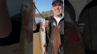 not getting trout bites? try this (STOCKED trout fishing)