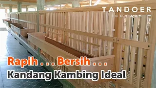 Pembuatan Kandang Kambing Etawa di Lampung | Kandang SNI