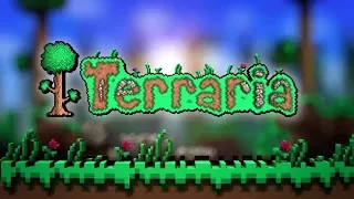 Terraria  Выживание #3 ОПА КОВЁР ЛЕТАЮЩИЙ