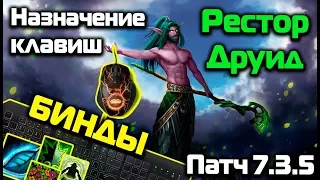 Мои бинды для рестор друида WoW Legion Патч 7.3.5 (назначение клавиш)