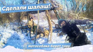 ВСТРЕТИЛ ЛИСУ! МОТОСОБАКА ПРЕТ В ГОРУ! АНОМАЛЬНАЯ ЗИМА!