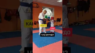 КУДО против КАРАТЭ! ЧТО КРУЧЕ?!