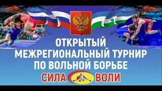 Открытый межрегионадьный турнир по вольной борьбе среди юношей