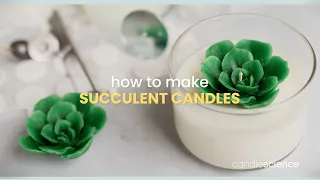 How to Make Succulent Candles | CandleScience | Candle Making Tips