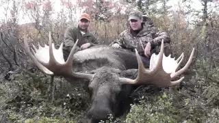 Dall sheep and moose hunting in Alaska. Big ram big bull moose hunters dream