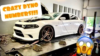 STOCK Scat Pack Shows Unbelievable Dyno Numbers