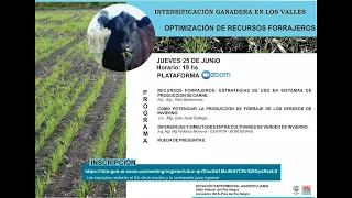 Intensificación ganadera en los valles  y recursos forrajeros