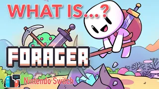 What is?... Forager on Nintendo Switch