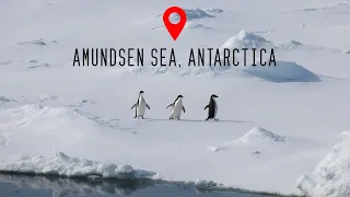 Amundsen Sea, Antarctica 4K