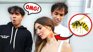 My Girlfriend Got STUNG By a Giant BEE! *Painful*