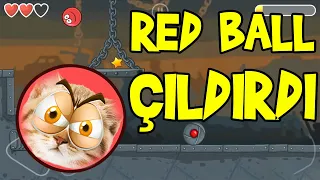 RED BALL ÇILDIRDI 😤 - Red Ball 6