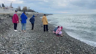 20.12.2022. Погода в Сочи в декабре. Смотри на Чёрное море каждый день.