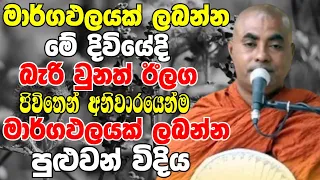 මාර්ගඵලයක් ලබන්න මේ ආත්මේදී බැරි උනොත් ඊලග ජීවිතේ මාර්ගඵල ලබන හැටි | Koralayagama Saranathissa Thero