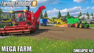 Harvesting CARROTS - DAY 1| MEGA FARM Challenge | Farming Simulator 19 | Episode 48