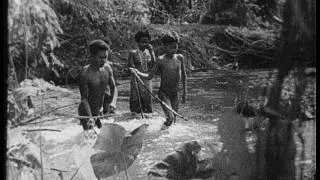 Orang asli in the prewar Malaysian  jungle