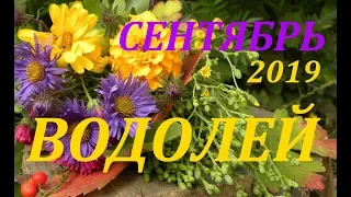 ВОДОЛЕЙ. СЕНТЯБРЬ 2019 г. ПОДРОБНЫЙ ПРОГНОЗ на МЕСЯЦ. + БОНУС!