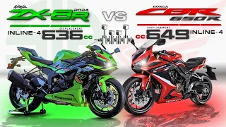 Kawasaki Ninja ZX-6R vs Honda CBR650R ┃Similar Specs yet Different Beast!