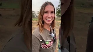 Le ofrecieron 151 vacas a mi novio por mí 😱 🐄 🐮