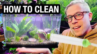 How to Clean Your Fish Tank - NEED to Know