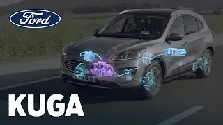 New Ford Kuga EcoBlue Hybrid (Mild Hybrid) | Ford Ireland