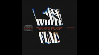 Burn The White Flag - Animal Years (Joseph Cover - Official Audio)