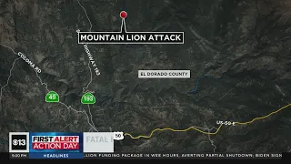 1 killed, 1 injured in mountain lion attack in Northern California foothills