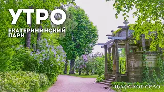 Утро. Екатерининский парк