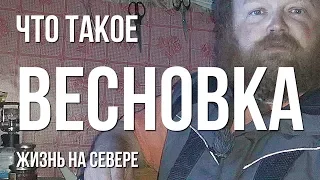 Что такое весновка.  Жизнь на Севере. Моя весновка 2019.